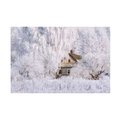 Trademark Fine Art Vlad Sokolovsky 'Winter Tale' Canvas Art, 12x19 1X14503-C1219GG